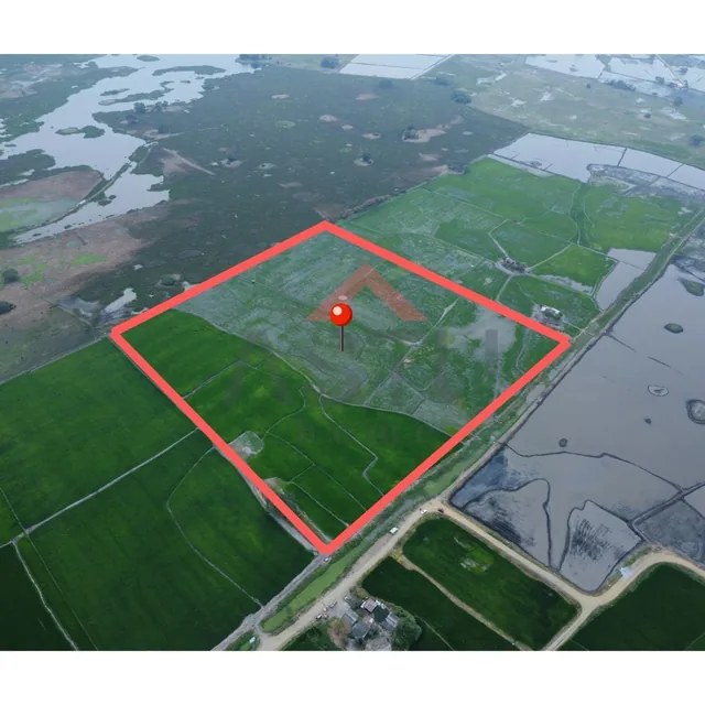 Se Vende Terreno en Km 15 Vía Salitre, Guayas — imagen 5