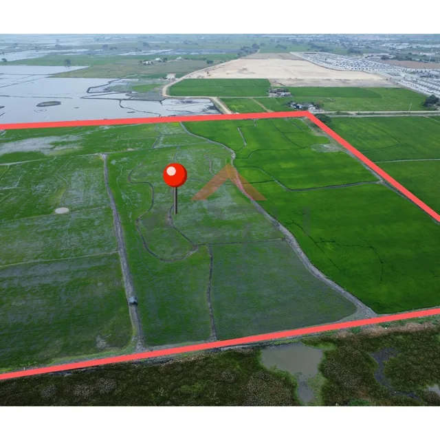 Se Vende Terreno en Km 15 Vía Salitre, Guayas — imagen 4
