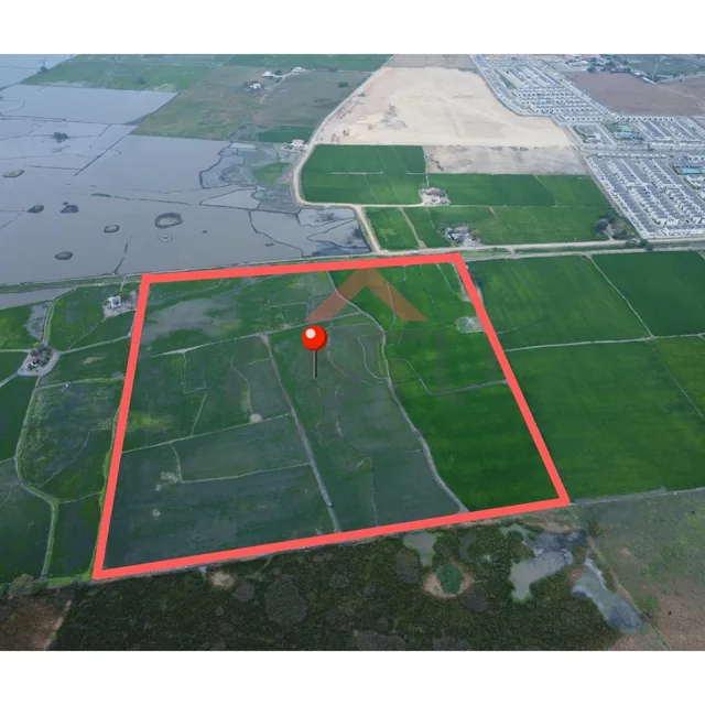 Se Vende Terreno en Km 15 Vía Salitre, Guayas — imagen 3