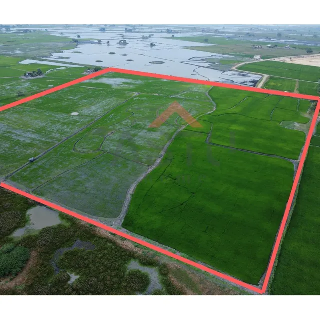 Se Vende Terreno en Km 15 Vía Salitre, Guayas — imagen 2