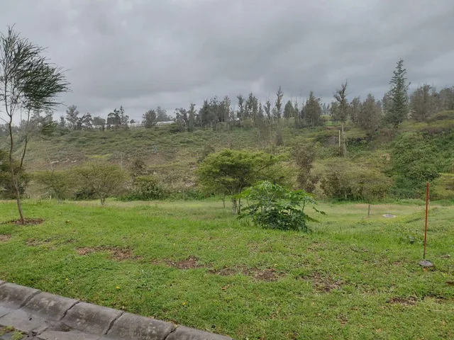 Terrenos en Venta Dentro de Pakakuna Gardens - Sector Checa — imagen 3