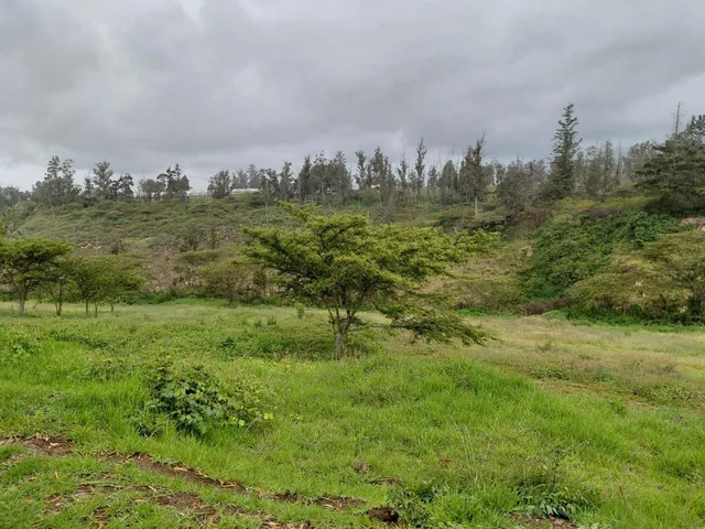 Terrenos en Venta Dentro de Pakakuna Gardens - Sector Checa — imagen 2