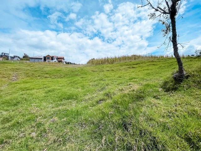 ¡Oportunidad Única! Terreno en Paccha a $110.000, Azuay — imagen 5