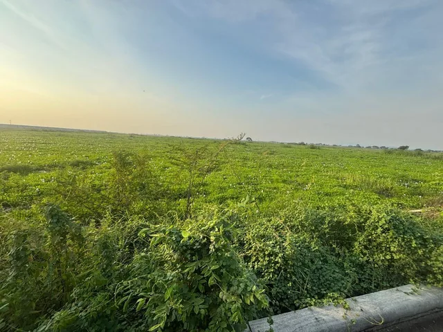 Vendo Terreno Via Samborondon El Pan Sector Barranca 286.610 m² / Frente a La Vía 212 m, Guayas — imagen 3