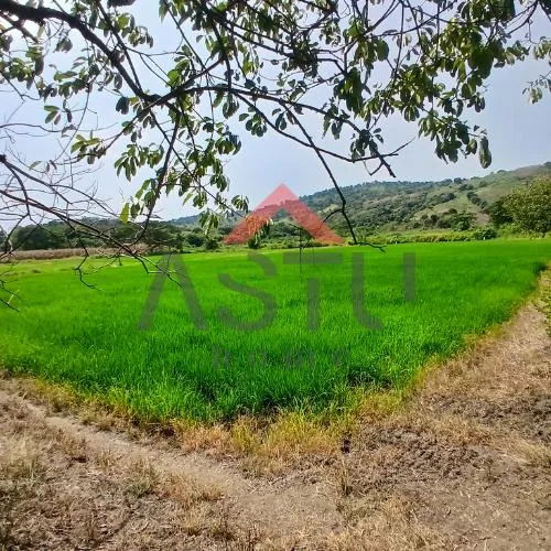Se Vende Terreno Sector Las Lojas. Guayas — imagen 4