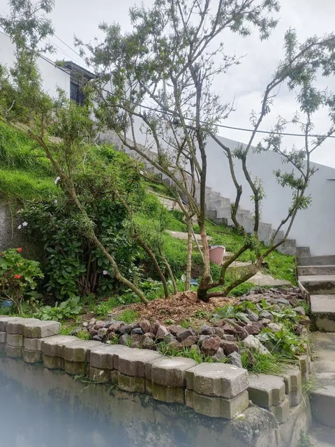 Casa — imagen 3