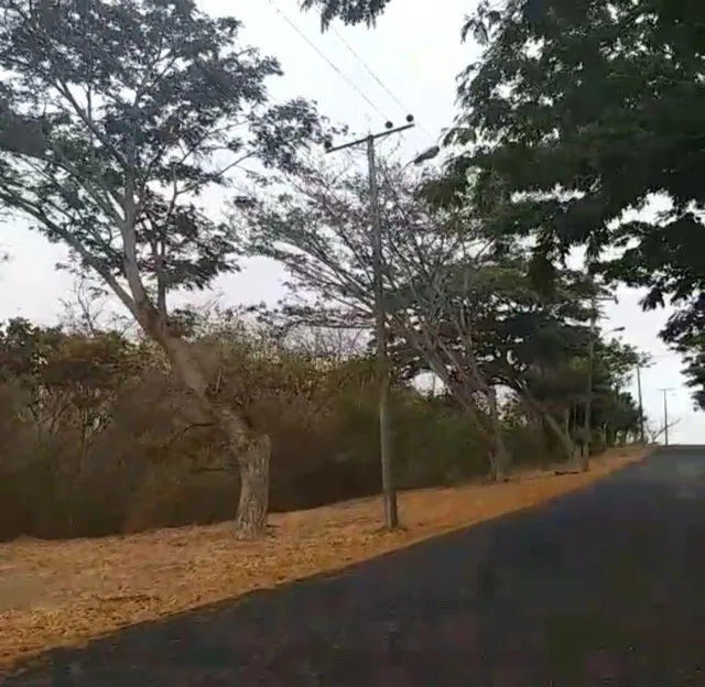Terreno Uso de Suelo Comercial Lomas del Bosque, Guayas — imagen 5