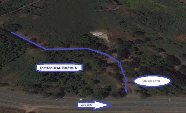 Terreno Uso de Suelo Comercial Lomas del Bosque, Guayas — imagen 4