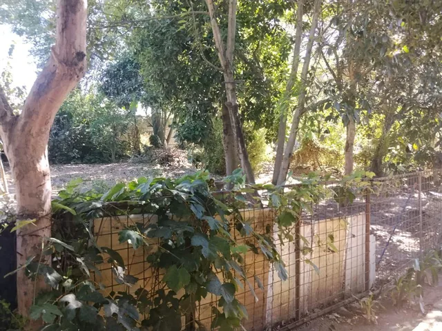 Tumbaco, Buena Esperanza, Sect. Hilacril, Vendo Terreno Plano 1000 m², Irm. Cos. Pb. 35%, Cos T 105% — imagen 4
