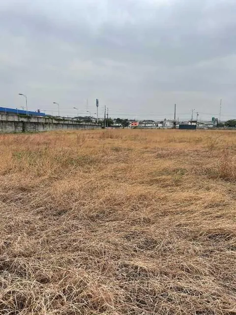 Vendo o Alquilo Terreno 10.905,15 m², Via Daule Inmaconsa, Guayas — imagen 3