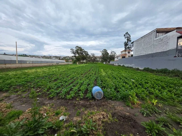 Terreno en Venta en Izamba, Ambato | 5.164 m² | Ideal Para Proyecto Habitacional. Tungurahua — imagen 3