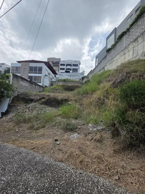 Terreno en Venta en Cumbres - Ceibos, Guayas — imagen 3