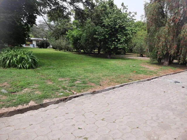 Venta Terreno Plano de 6154 Mm², con Casa, Puembo, Barrio Las Palmas — imagen 3
