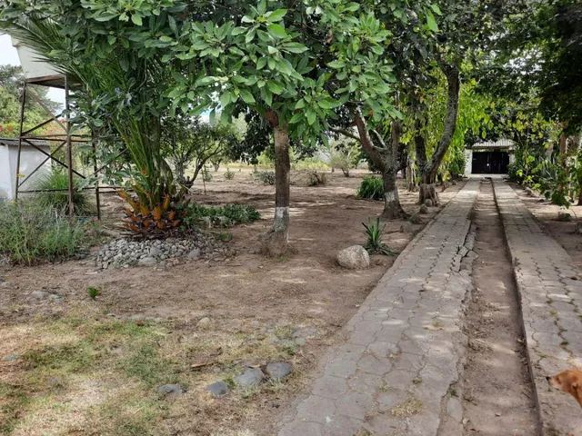 Venta Terreno Plano de 6154 Mm², con Casa, Puembo, Barrio Las Palmas — imagen 2
