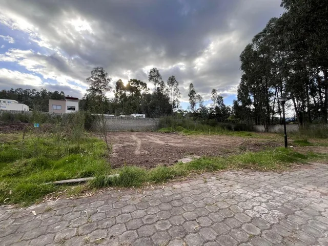 Terreno Para Construcción o Inversión — imagen 3