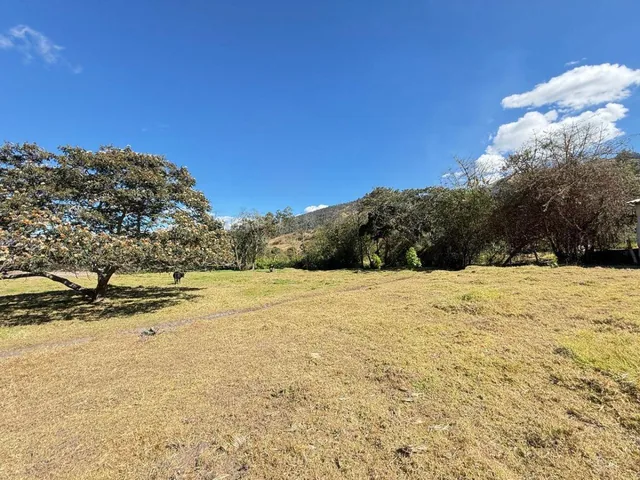 ¡Gran Oportunidad de Inversión en La Merced! Terreno de 10000 m² — imagen 5