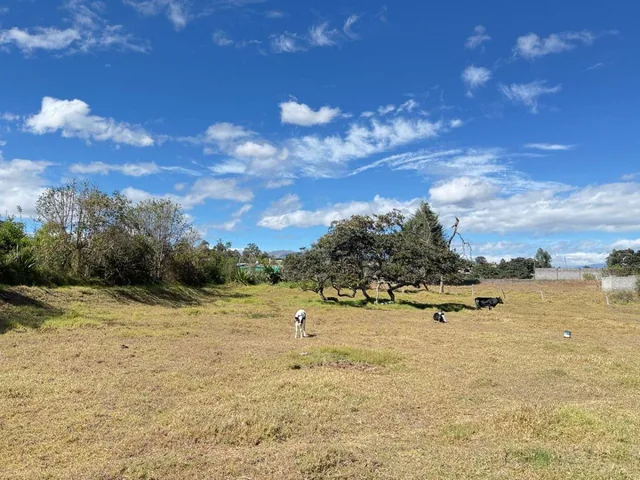 ¡Gran Oportunidad de Inversión en La Merced! Terreno de 10000 m² — imagen 3
