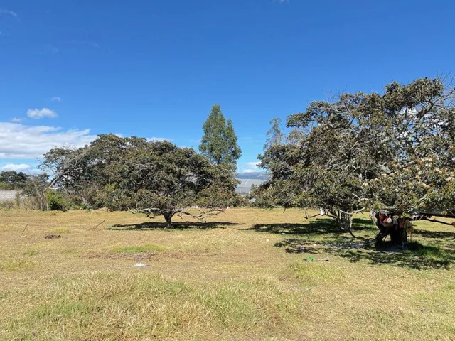¡Gran Oportunidad de Inversión en La Merced! Terreno de 10000 m² — imagen 2