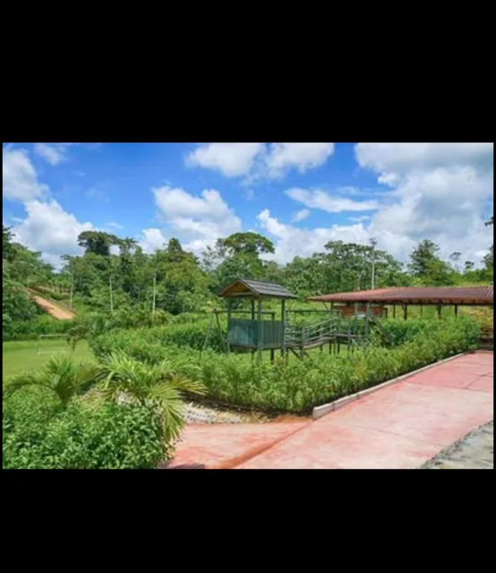 Terreno de 1143 m² en Venta en Pedro Vicente Maldonado — imagen 5