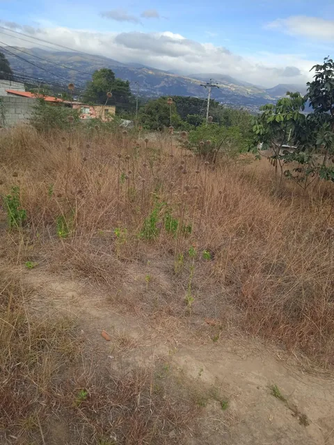 Lindo Terreno de 2.203 m², Excelente Ubicación — imagen 5