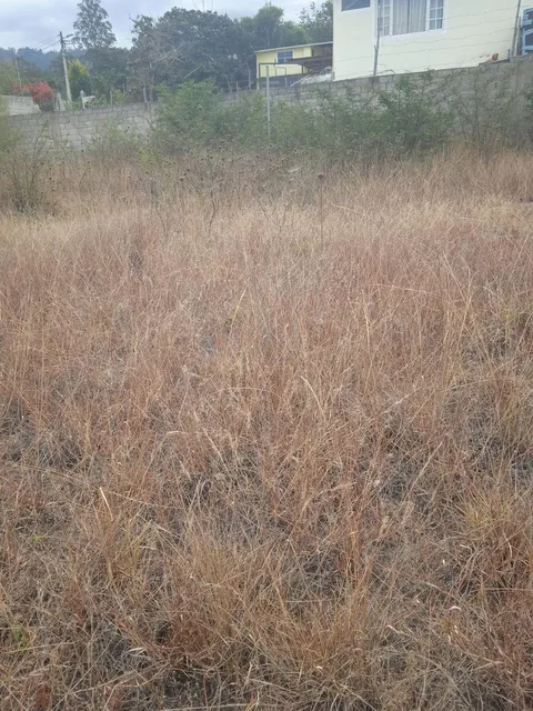 Lindo Terreno de 2.203 m², Excelente Ubicación — imagen 4