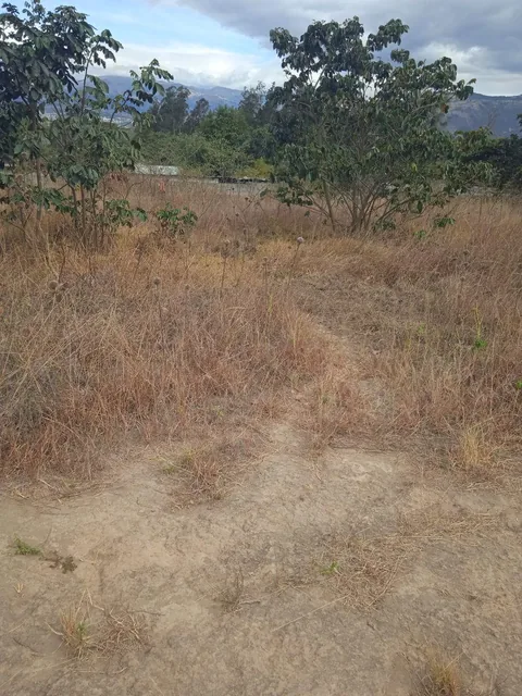 Lindo Terreno de 2.203 m², Excelente Ubicación — imagen 2