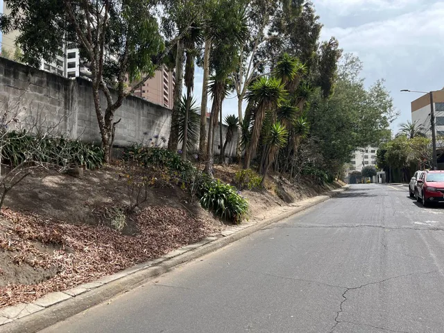 Quito Tenis Terreno de Venta Oportunidad Apto Para Constructores — imagen 5