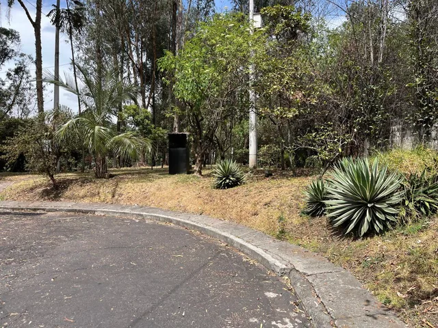 Quito Tenis Terreno de Venta Oportunidad Apto Para Constructores — imagen 3