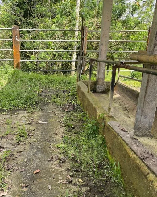 Finca en Venta 75.20 Has con Casa — imagen 5