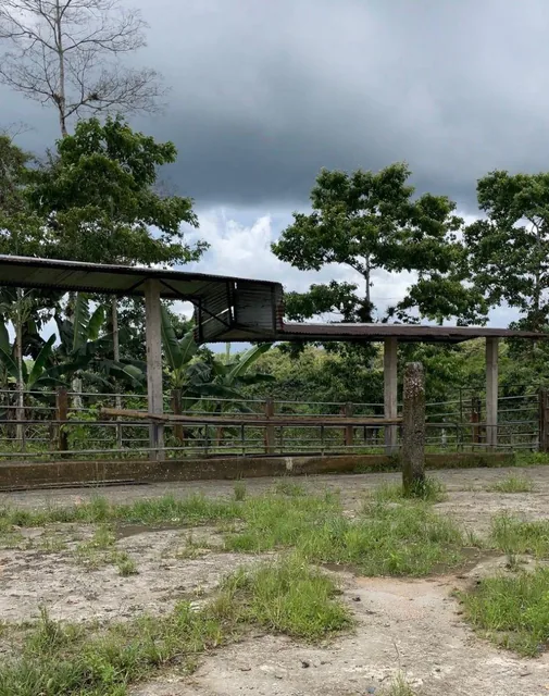 Finca en Venta 75.20 Has con Casa — imagen 4