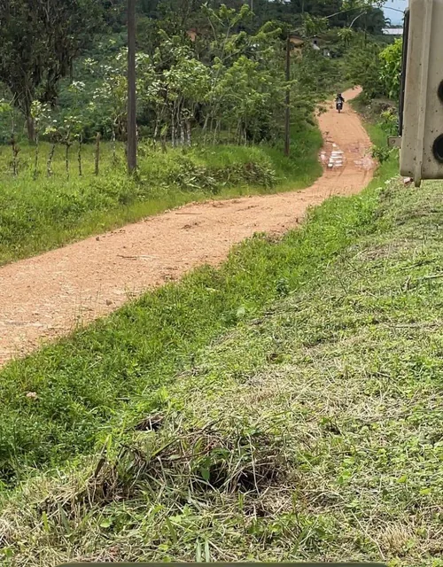 Finca en Venta 75.20 Has con Casa — imagen 3