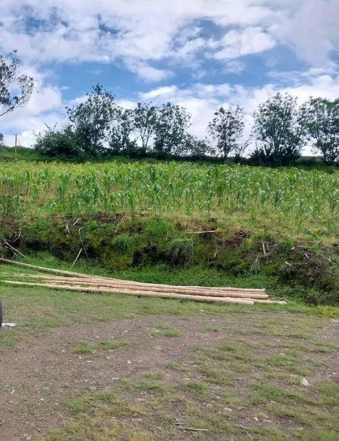 Terreno en Venta de 1.085,84 m² en Llacán, Guaranda – Bolívar — imagen 2
