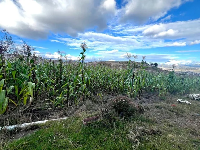 Inversión con Naturaleza y Potencial en Martínez, Tungurahua — imagen 3