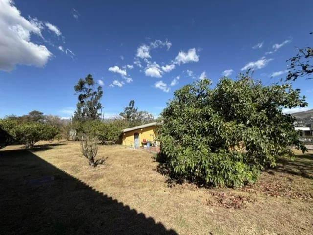 Ideal Para Constructores Terreno Esquinero Viña Alta — imagen 4