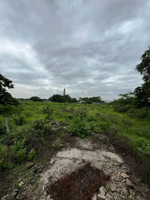 Terreno Km 24 Vía a La Costa Chongon Rellenado y Compactado, Guayas — imagen 3