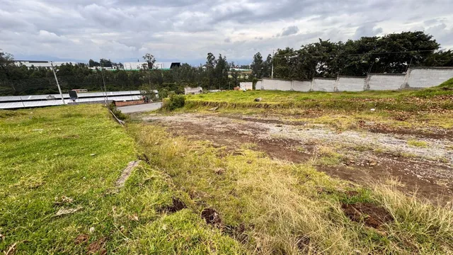 Venta Terreno 5000 m² Tababela, Oyambarillo — imagen 3