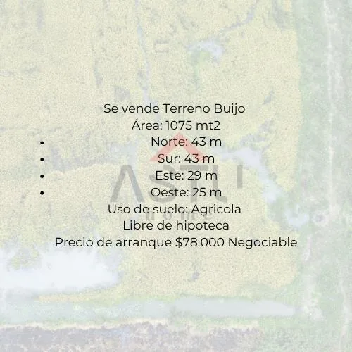 Se Vende Terreno Buijo, Guayas — imagen 3