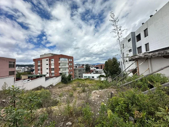 En Venta Único Terreno Cerca Av Brazil Para Proyecto Inmobiliario — imagen 4