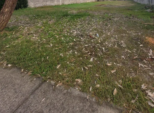 Hermoso Terreno Medianero Regular en Excelente Urbanización Terrasol, Guayas — imagen 2