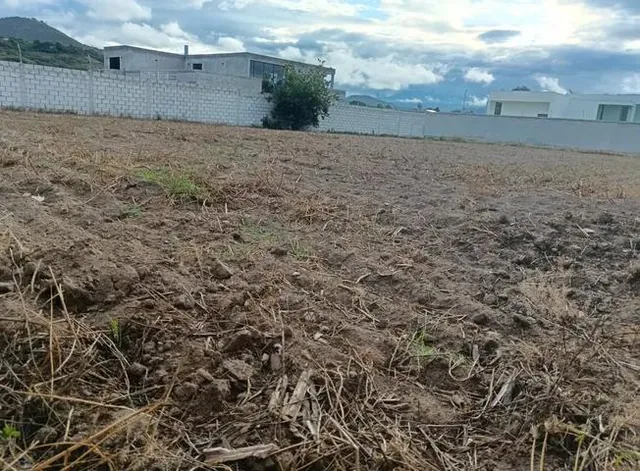 Terreno en Venta en Guayllabamba — imagen 5