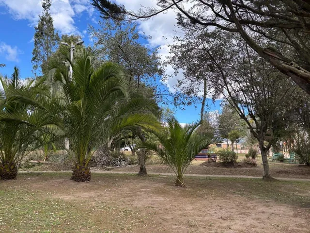 Terreno en Venta Pifo — imagen 4