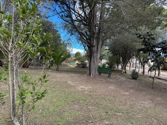 Terreno en Venta Pifo — imagen 2