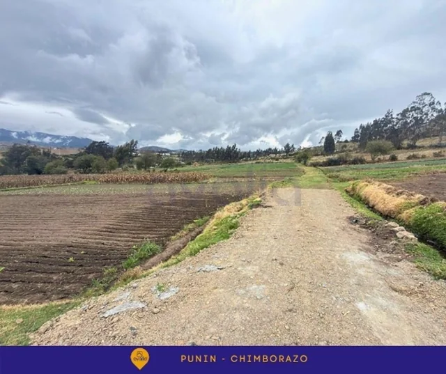 Venta de Terreno en Punin, Riobamba, Via a Macas, Chimborazo — imagen 4