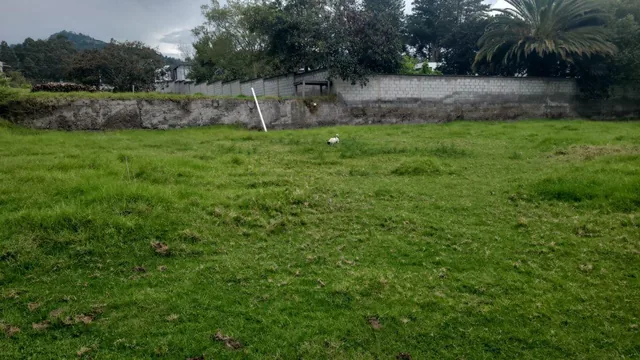 ¡Inversionistas! Terreno de 9.250,55 m² en La Cerámica, Ideal Para Desarrollo y Alta Plusvalía. Provincia de Pichincha — imagen 5