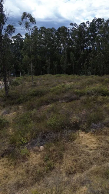 Terreno en Venta en Pifo | 6.352 m² Dentro de Urbanización — imagen 5