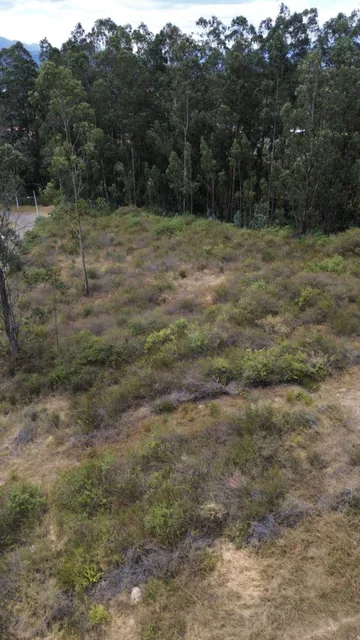 Terreno en Venta en Pifo | 6.352 m² Dentro de Urbanización — imagen 4