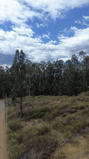 Terreno en Venta en Pifo | 6.352 m² Dentro de Urbanización — imagen 2