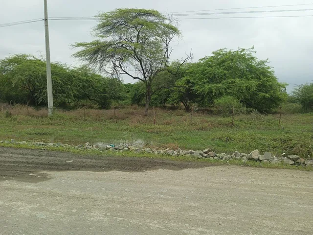 Venta de Terrenos en Peñon del Rio Duran, Guayas — imagen 5