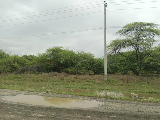 Venta de Terrenos en Peñon del Rio Duran, Guayas — imagen 3