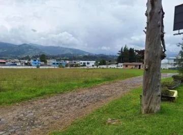 Terreno en Alquiler - 12000 m² - Av Principal - Sector Pifo — imagen 5